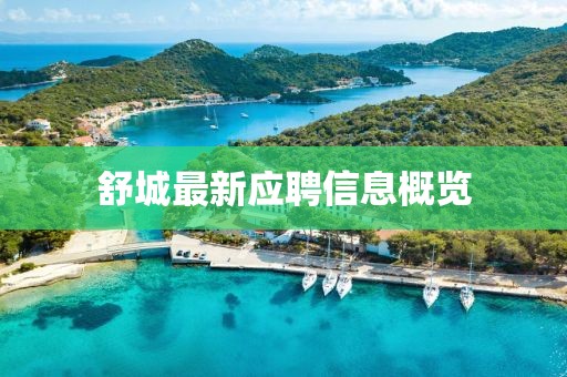 舒城最新应聘信息概览