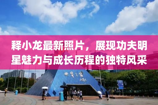 释小龙最新照片，展现功夫明星魅力与成长历程的独特风采