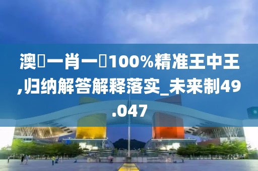 澳門一肖一碼100%精准王中王,归纳解答解释落实_未来制49.047