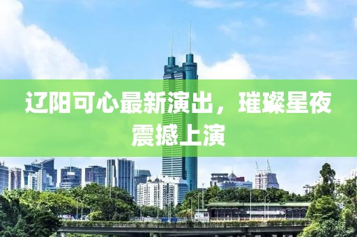 辽阳可心最新演出，璀璨星夜震撼上演