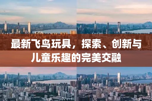 最新飞鸟玩具，探索、创新与儿童乐趣的完美交融