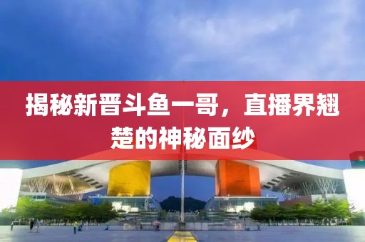 揭秘新晋斗鱼一哥，直播界翘楚的神秘面纱