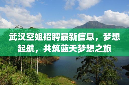 武汉空姐招聘最新信息，梦想起航，共筑蓝天梦想之旅