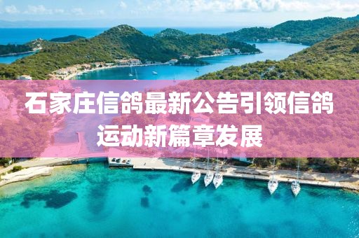 石家庄信鸽最新公告引领信鸽运动新篇章发展