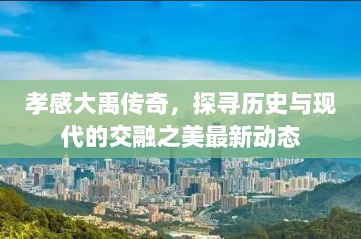 孝感大禹传奇，探寻历史与现代的交融之美最新动态