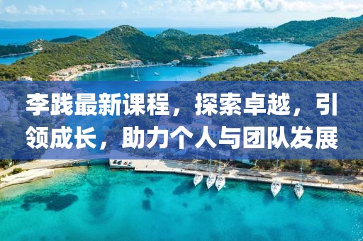 李践最新课程，探索卓越，引领成长，助力个人与团队发展