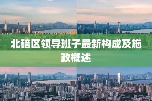 北碚区领导班子最新构成及施政概述
