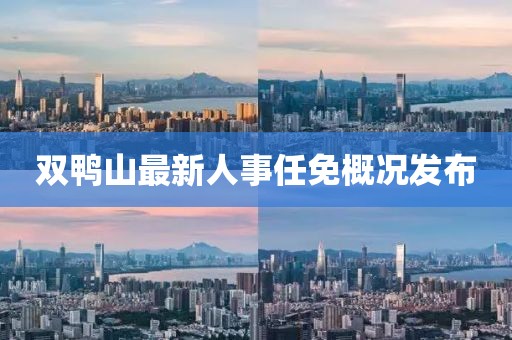 双鸭山最新人事任免概况发布