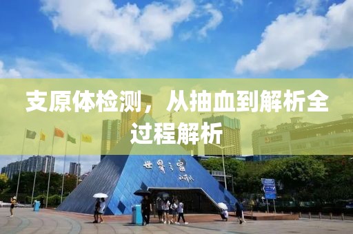 支原体检测，从抽血到解析全过程解析