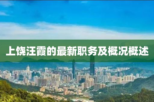 上饶汪霞的最新职务及概况概述
