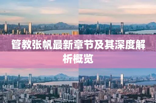 管教张帆最新章节及其深度解析概览