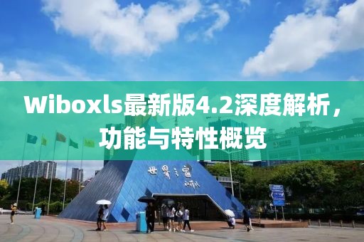 Wiboxls最新版4.2深度解析，功能与特性概览