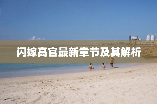 闪嫁高官最新章节及其解析