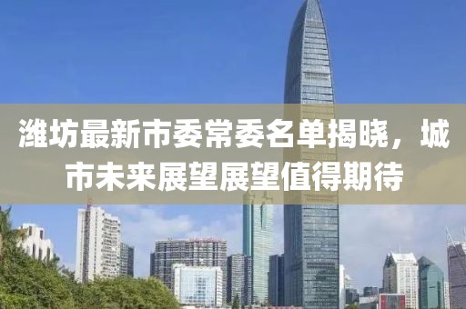 潍坊最新市委常委名单揭晓，城市未来展望展望值得期待