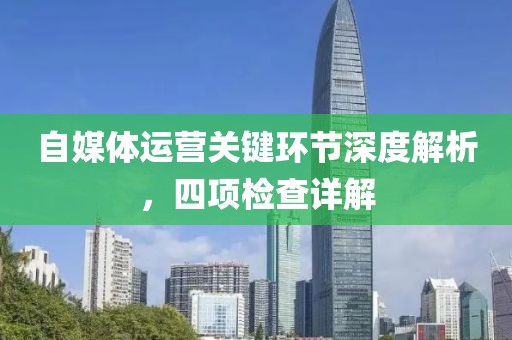 自媒体运营关键环节深度解析，四项检查详解