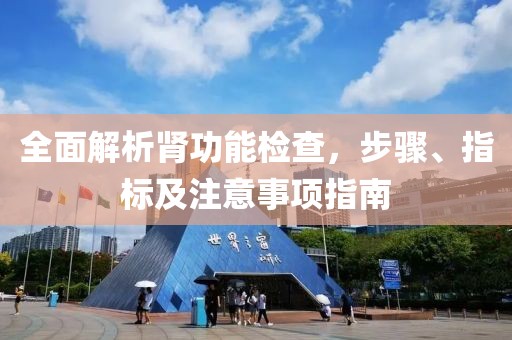 全面解析肾功能检查，步骤、指标及注意事项指南