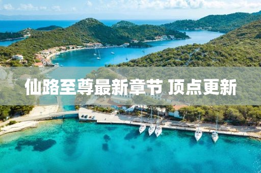 仙路至尊最新章节 顶点更新