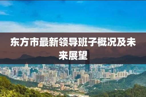 东方市最新领导班子概况及未来展望