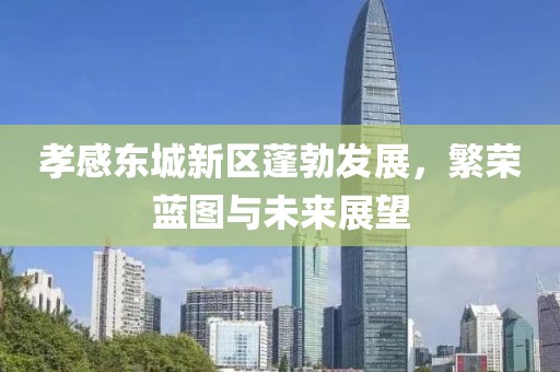 孝感东城新区蓬勃发展，繁荣蓝图与未来展望