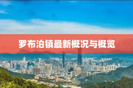 罗布泊镇最新概况与概览