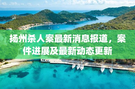 扬州杀人案最新消息报道，案件进展及最新动态更新