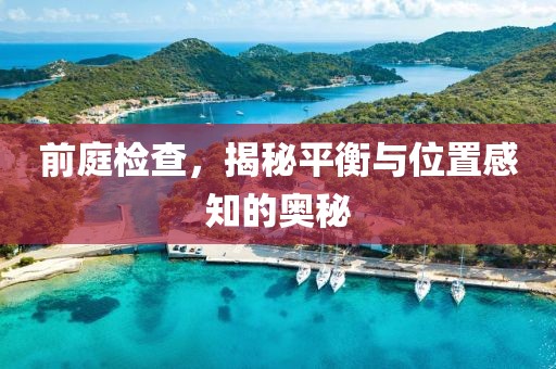 前庭检查，揭秘平衡与位置感知的奥秘