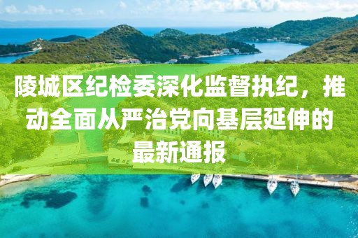 陵城区纪检委深化监督执纪，推动全面从严治党向基层延伸的最新通报