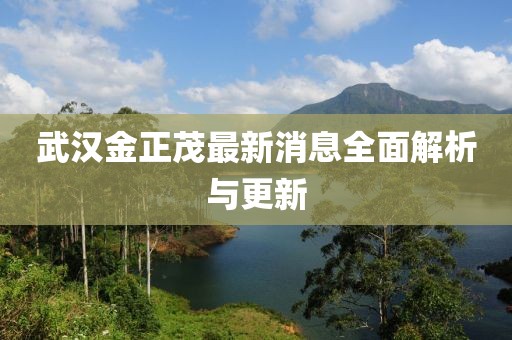 武汉金正茂最新消息全面解析与更新