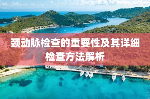 颈动脉检查的重要性及其详细检查方法解析