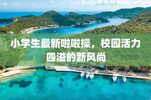 小学生最新啦啦操，校园活力四溢的新风尚