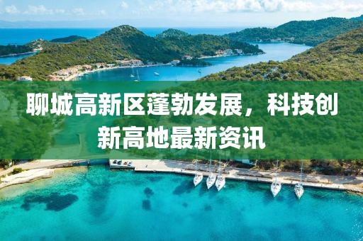 聊城高新区蓬勃发展，科技创新高地最新资讯