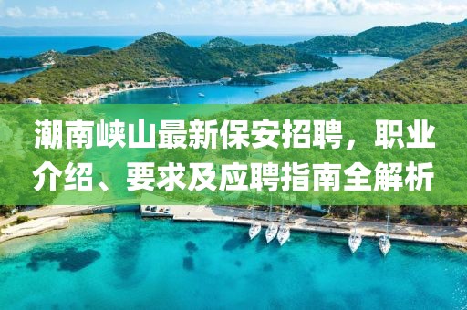潮南峡山最新保安招聘，职业介绍、要求及应聘指南全解析