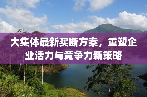 大集体最新买断方案，重塑企业活力与竞争力新策略