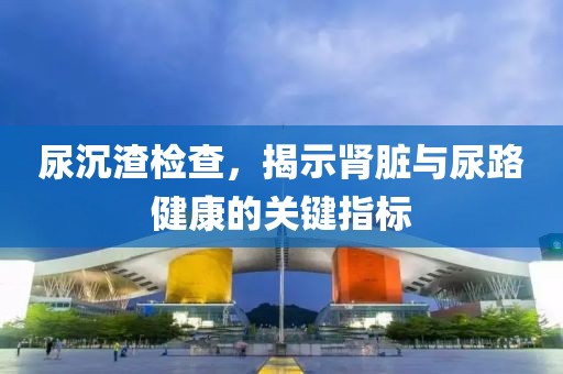 尿沉渣检查，揭示肾脏与尿路健康的关键指标