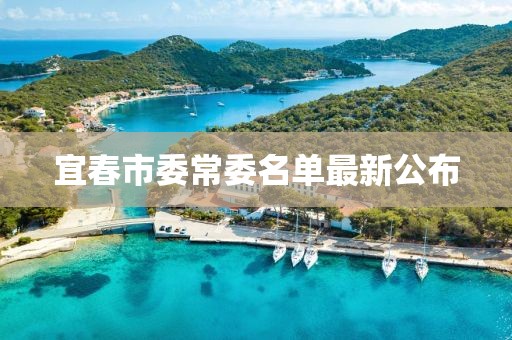 宜春市委常委名单最新公布