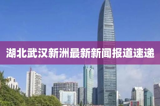 湖北武汉新洲最新新闻报道速递