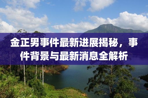 金正男事件最新进展揭秘，事件背景与最新消息全解析