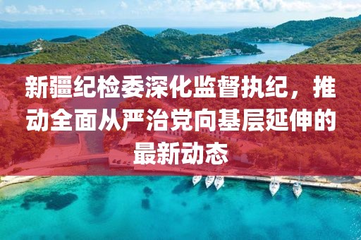 新疆纪检委深化监督执纪，推动全面从严治党向基层延伸的最新动态