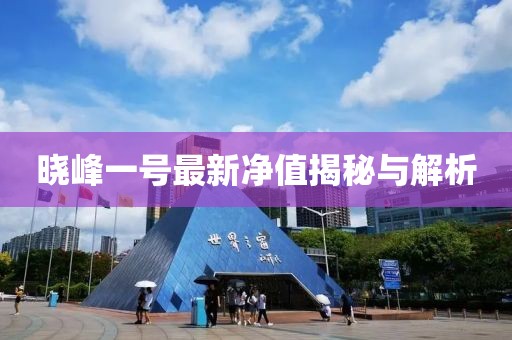 晓峰一号最新净值揭秘与解析