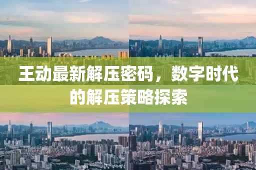 王动最新解压密码，数字时代的解压策略探索