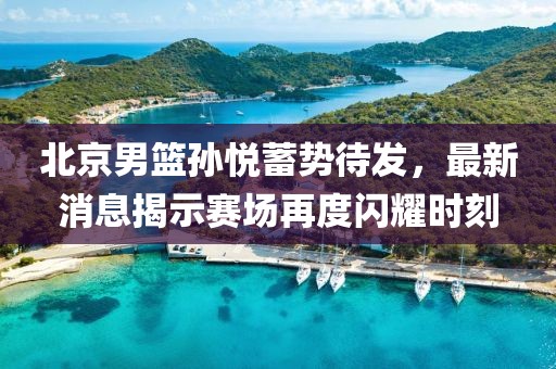 北京男篮孙悦蓄势待发，最新消息揭示赛场再度闪耀时刻