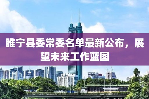 睢宁县委常委名单最新公布，展望未来工作蓝图
