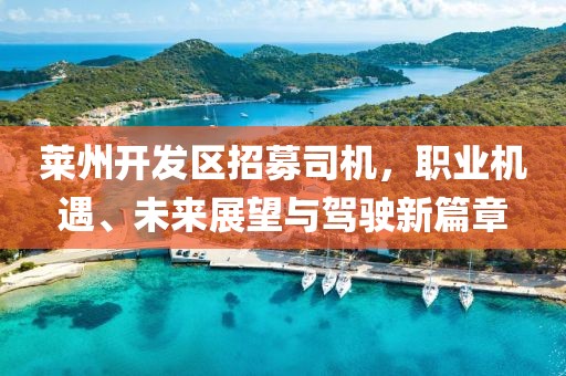 莱州开发区招募司机，职业机遇、未来展望与驾驶新篇章