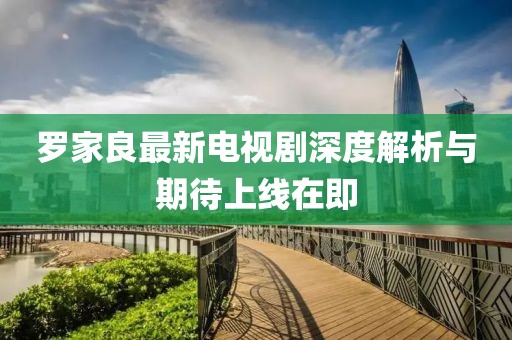 罗家良最新电视剧深度解析与期待上线在即