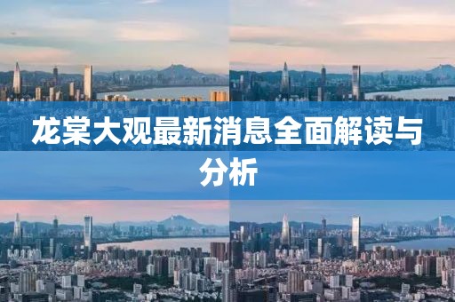 龙棠大观最新消息全面解读与分析