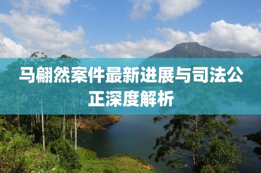 马翩然案件最新进展与司法公正深度解析