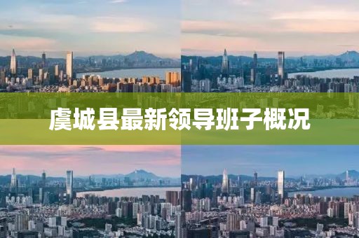 虞城县最新领导班子概况