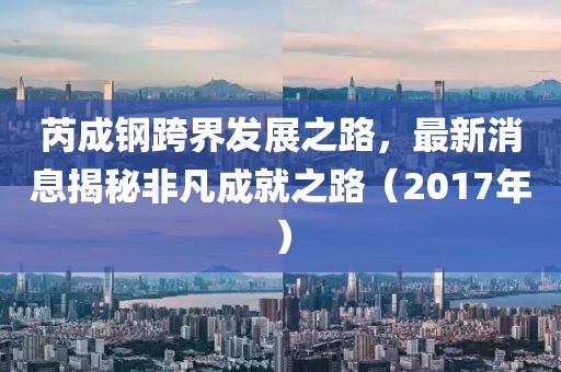 芮成钢跨界发展之路，最新消息揭秘非凡成就之路（2017年）