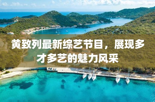 黄致列最新综艺节目，展现多才多艺的魅力风采