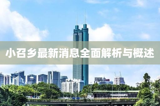 小召乡最新消息全面解析与概述